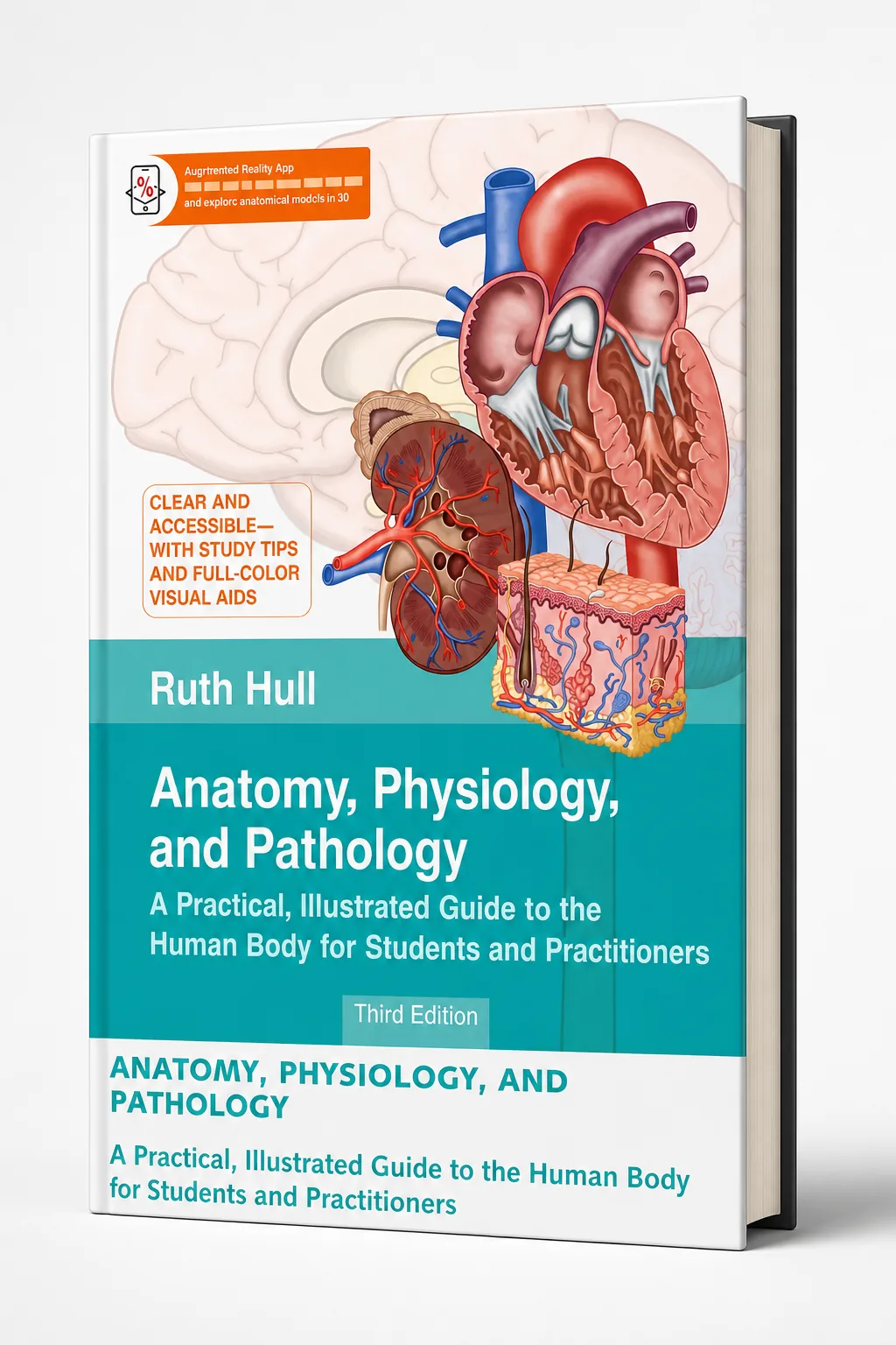 Anatomy, Physiology, and Pathology
