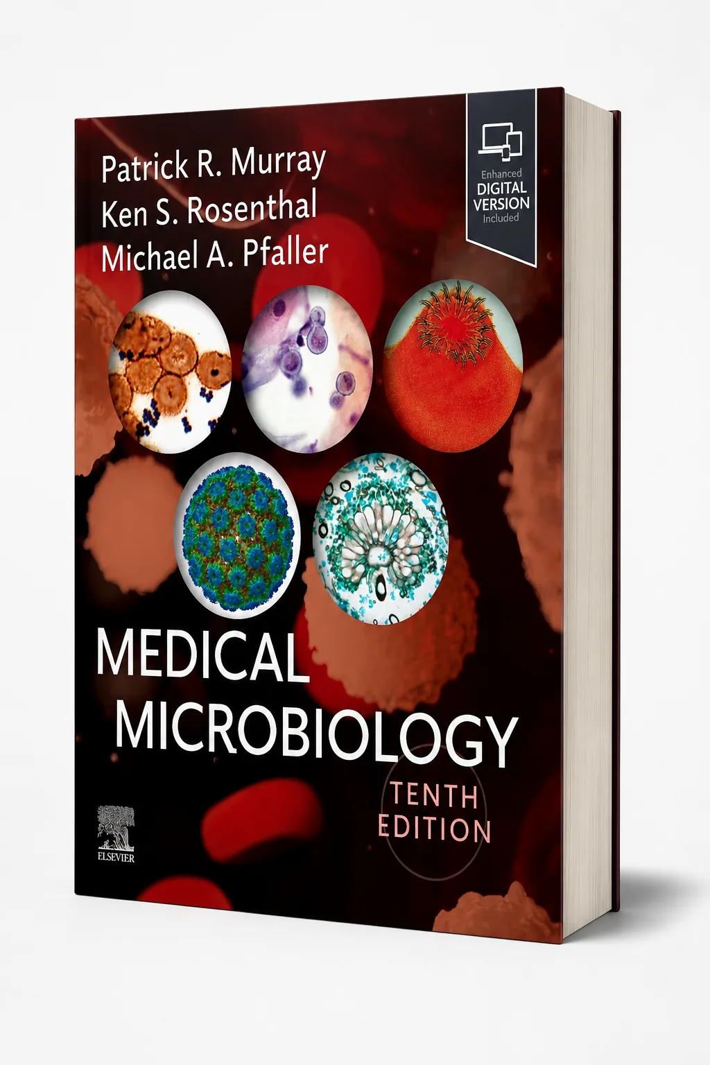 Medical Microbiology